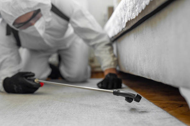 Professional Emergency Pest Control technician working in Oyster Bay Cove, NY