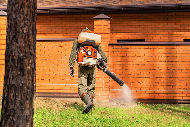 Trusted Bed Bug Control service in Oyster Bay Cove, NY - Nex Pest Control